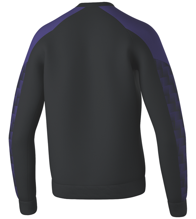 Evo Star Sweatshirt Sort