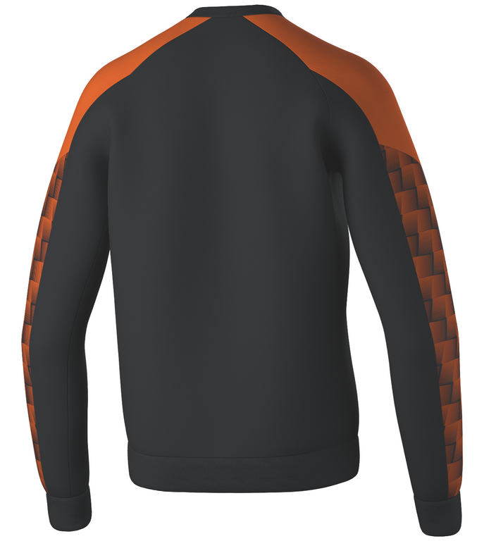 Evo Star Sweatshirt Sort